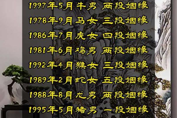 2003年出生的人命运及其人生方向解析