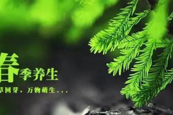 根据生肖选择长命之道，揭秘每个生肖的长寿秘诀！