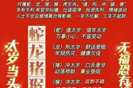 2029年是什么年？属什么命？揭开命运之谜！