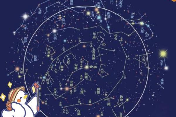 揭开极品紫薇命格的神秘面纱，探寻命运的奥秘与人生的选择