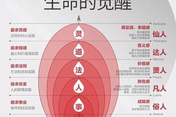 2019年37岁：命运与选择的深刻启示，探寻人生的另一种可能