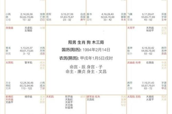 揭开紫薇星盘的神秘面纱：命里带来的财富与机遇