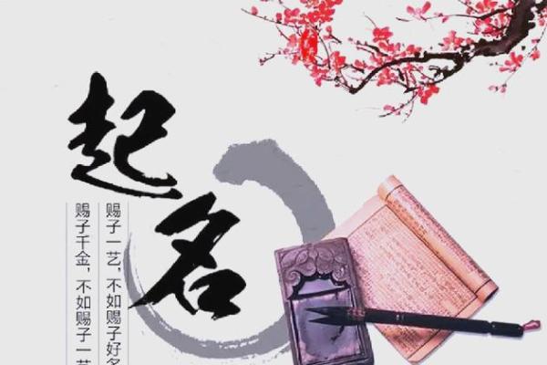 命名的艺术：字里行间的深意与启示