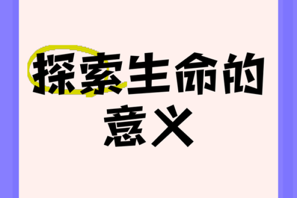 探索生命的价值：我们生命的几条命与意义