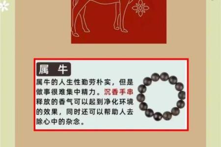 2022年是什么牛？探秘不同牛命的性格与命运!