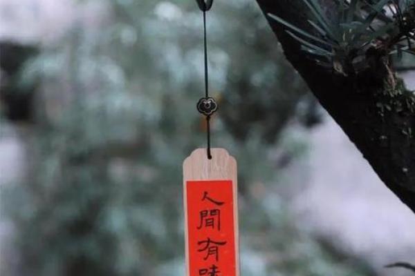 揭秘命理桃花：缘分之动物的神秘启示与探索