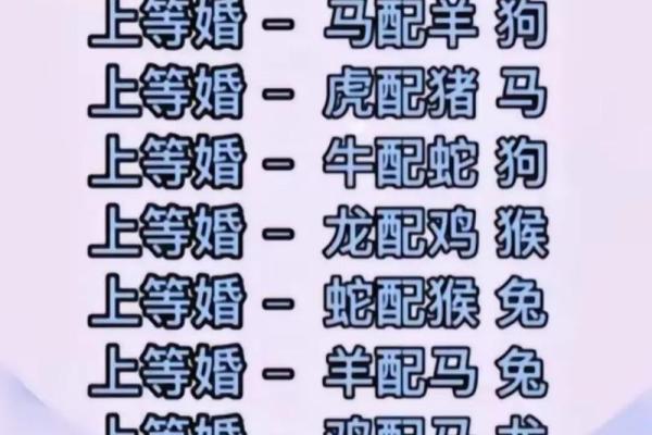 2024年生肖运势解析：哪个生肖命运最旺盛？
