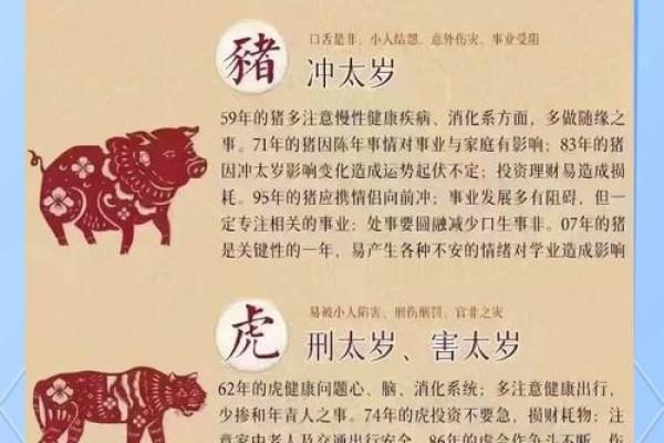 解密12年生肖及其命理特征，揭开你的命运之门！