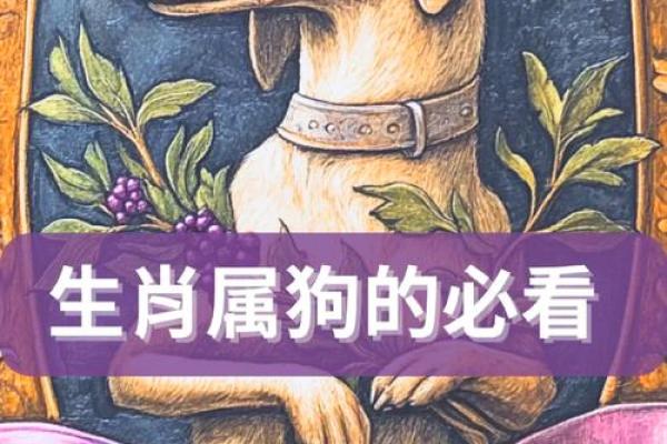 1982属狗土命的人生解析：命理与性格的深层次探讨