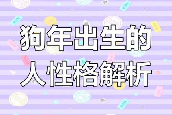 1982属狗土命的人生解析：命理与性格的深层次探讨