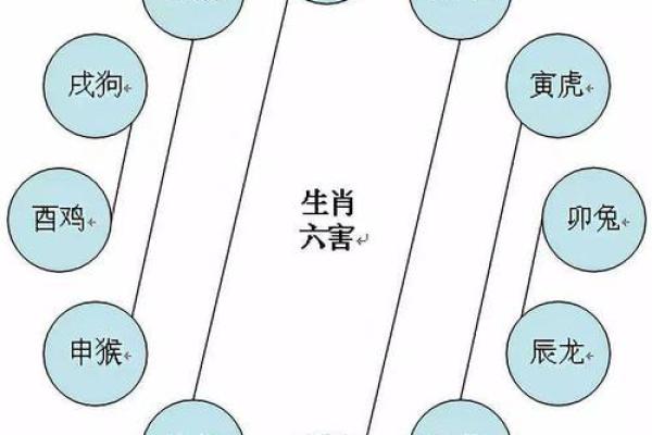 没有打牌命的属相解析：揭秘不同生肖的运势与性格