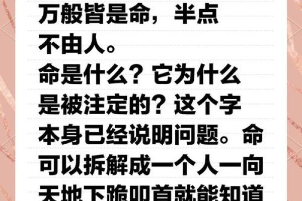 探秘命理冲动：如何理解命运与选择的交织