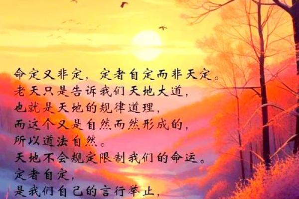 命运的丝线：为何命由天定又能改命的秘密