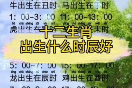 辛亥命理：如何解读辛亥的生肖与命运的深刻联系