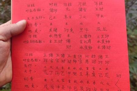 2017年出生的宝宝命运解析：揭示五行与命理的奥秘