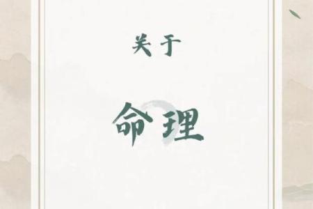 探索2019年出生孩子的命格与性格特征