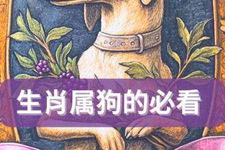 1982属狗土命的人生解析：命理与性格的深层次探讨