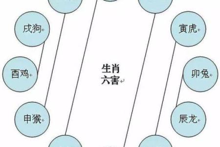 没有打牌命的属相解析：揭秘不同生肖的运势与性格