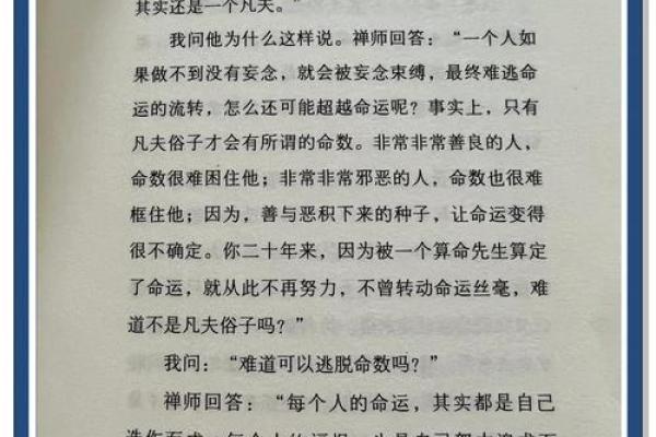 命数9的人：自我探索与人生智慧的旅程