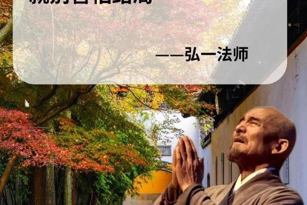 命数9的人：自我探索与人生智慧的旅程