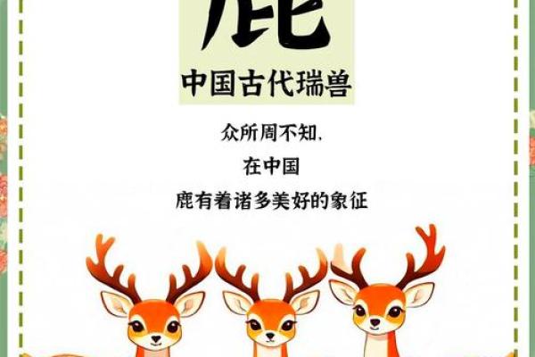 较量妾命：揭秘传统文化中的动物象征与意义