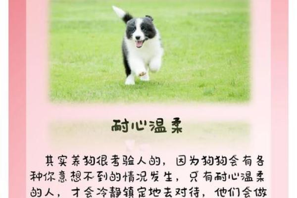 解密女人属黑狗的命运与性格特征，揭示独特魅力！