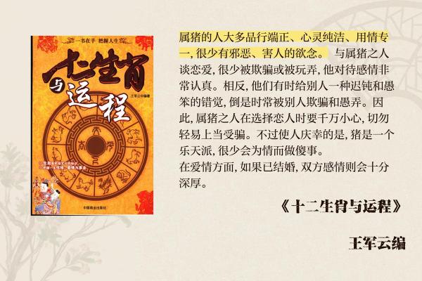 探索1984年出生的亥猪命运与性格特征的奥秘