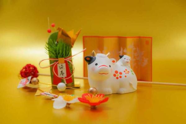 探索1984年出生的亥猪命运与性格特征的奥秘