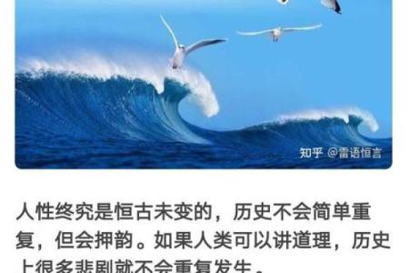 一条命的价值：从三条命说起的生命哲学