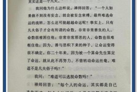 命数9的人：自我探索与人生智慧的旅程