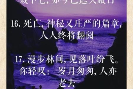 探索命逝的意义：生与死的哲学思考