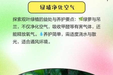 土命人适合养什么植物？探秘适合土命的绿植世界！