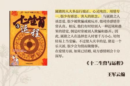 探索1984年出生的亥猪命运与性格特征的奥秘