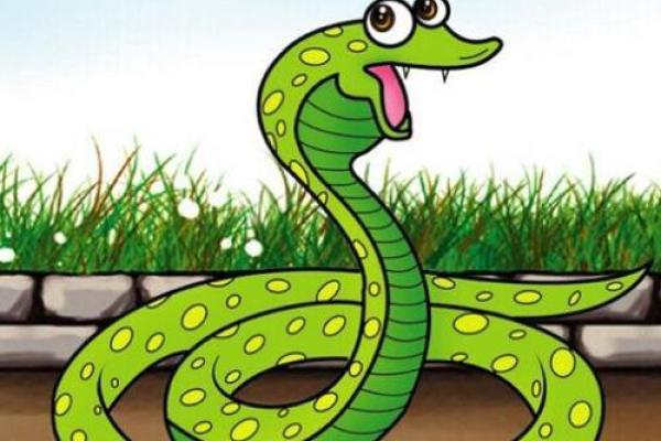 探索2001年的属蛇命运：智慧与灵性之旅