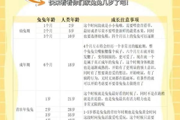 兔年宝宝的命运特征与成长寓意解析