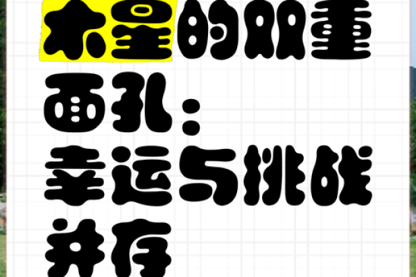 丁酉年生人命格解析：生活中的幸运与挑战