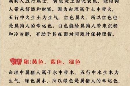 2020年属鼠人的土命解析与生活指南