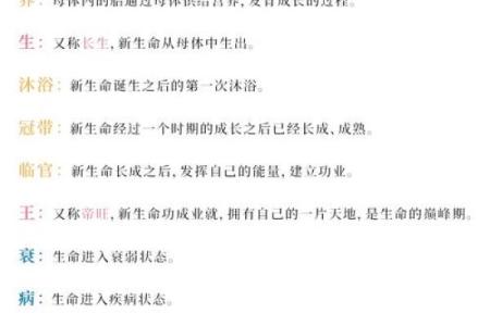 天人转世命格：探寻灵魂轮回的奥秘与启示