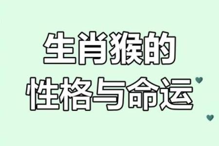 2004年猴午时出生的命运解析：揭示你的个性与潜力