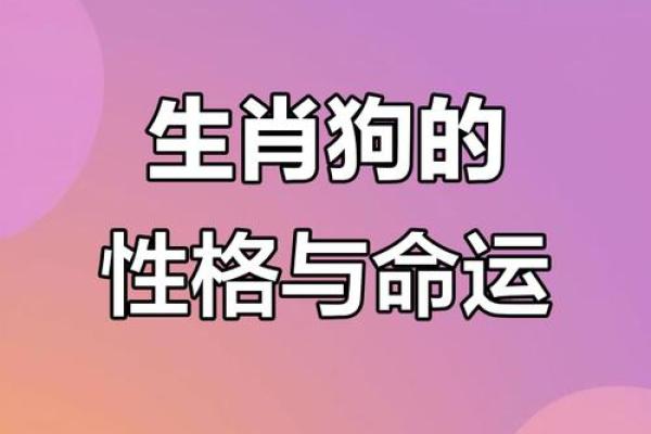 2018年属狗人的命运解析：从性格到运势全揭秘！
