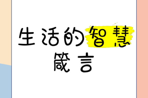 懂命：让生活更智慧的关键之道