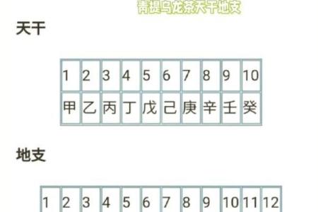 命理中的三合局揭秘：你的命运如何被天象影响？