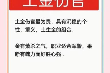 探秘伤官重的男命：命格解析与人生趋势