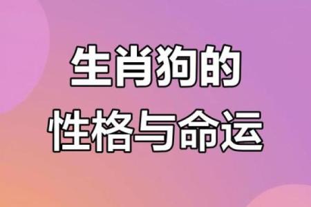 2018年属狗人的命运解析：从性格到运势全揭秘！