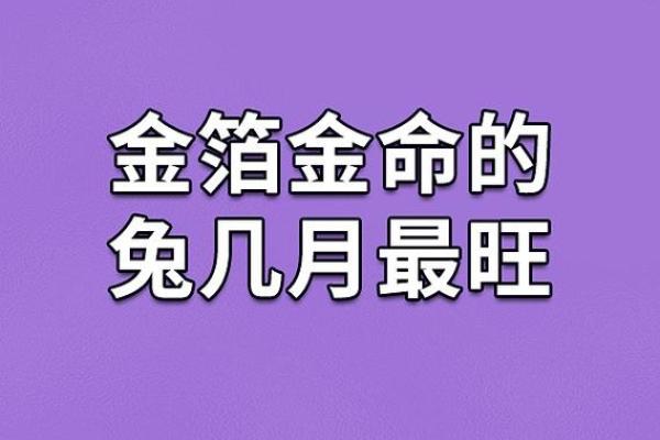 金命者的数字忌讳：深入解析与运势的博弈