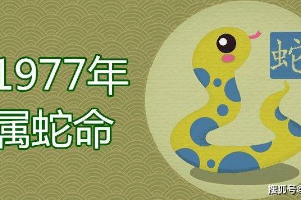 1977年属蛇正月出生者的命运与性格详解