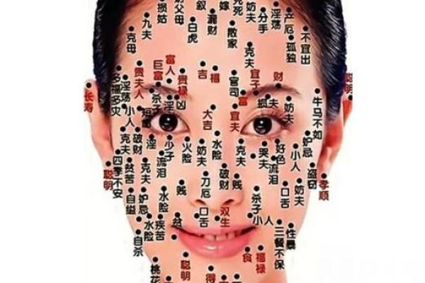 揭秘女人脸很长与命运的秘密，探索美与个性的深层联系