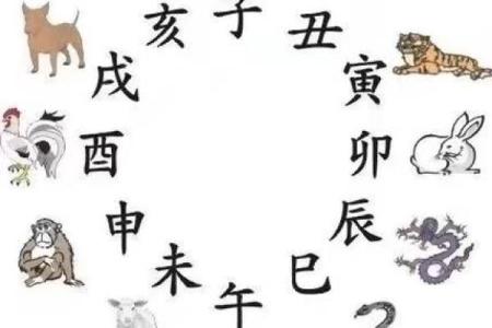 探秘命理：八字命中的“三鼠”与人生走向
