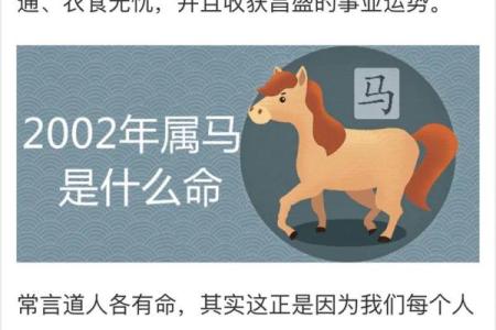 1963年属相之命理解析：你是怎样的命运之星？