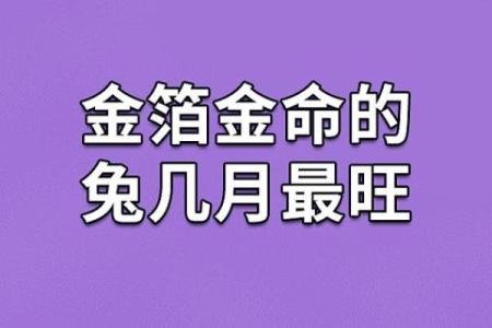 金命者的数字忌讳：深入解析与运势的博弈